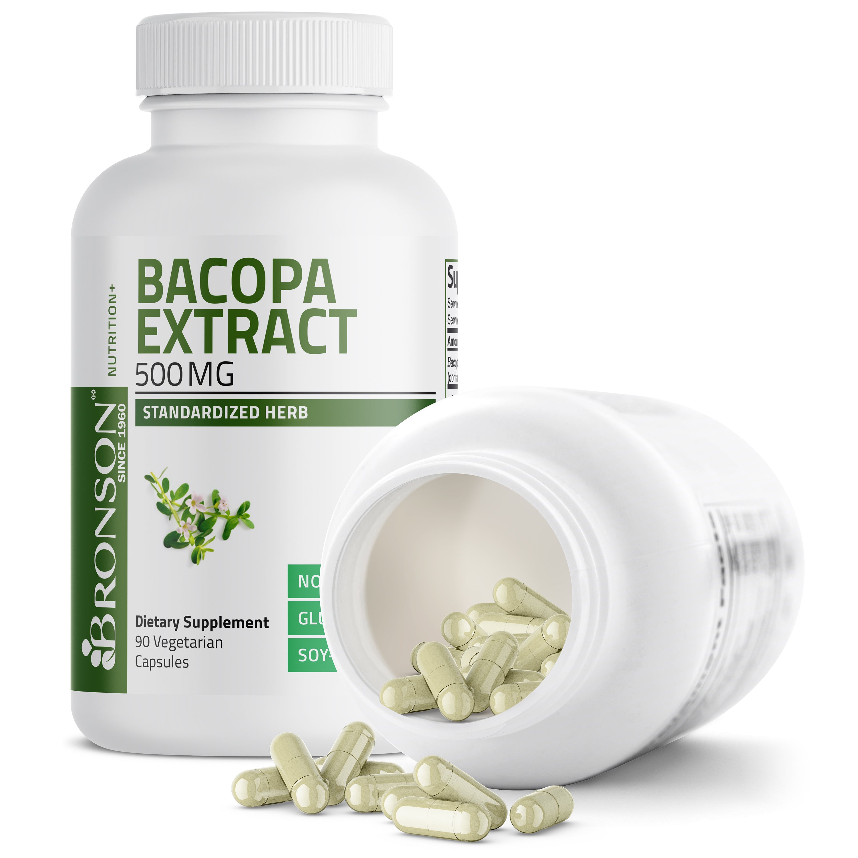 Bacopa Monniera Standardized Extract - 500 mg - 90 Vegetarian Capsules
