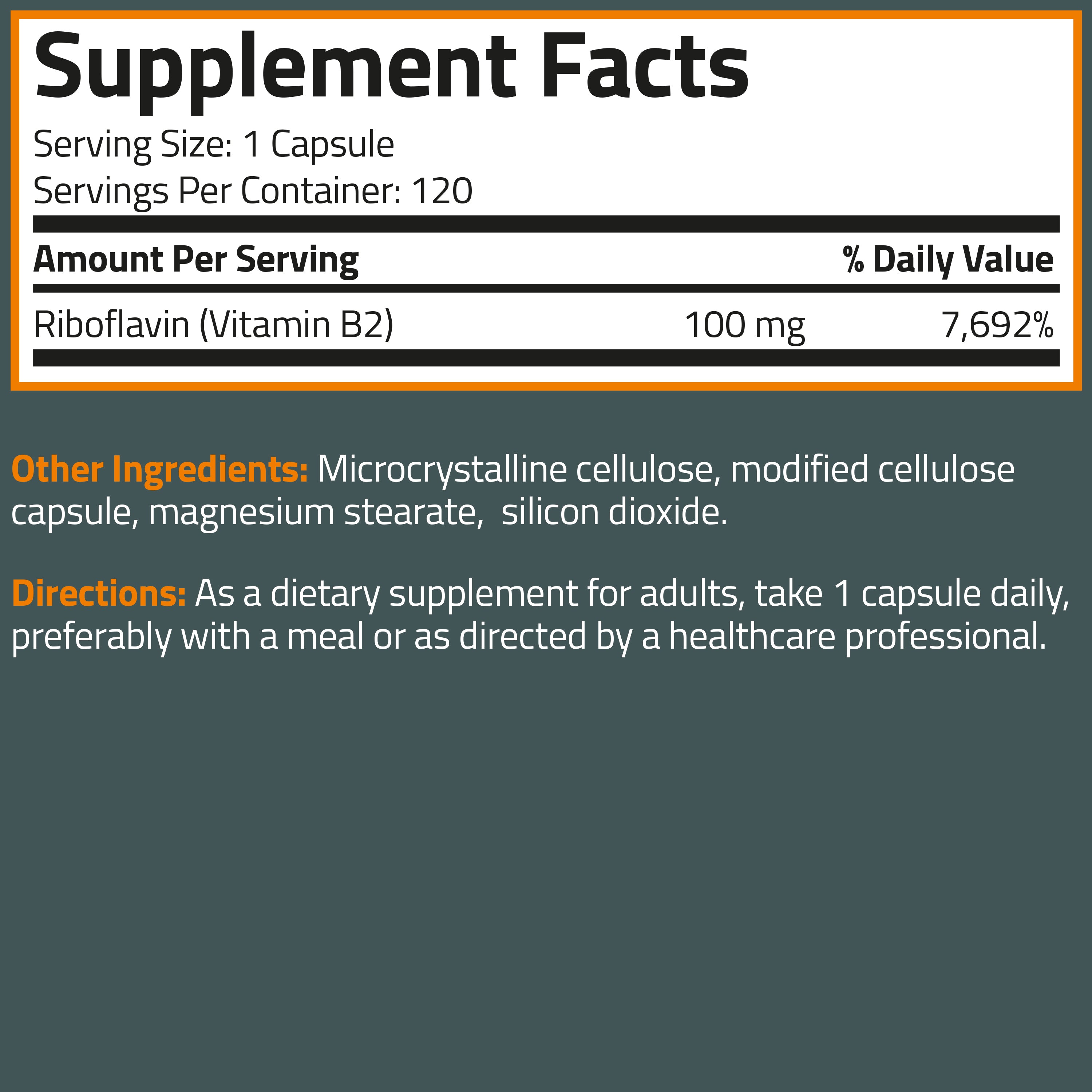 Vitamin B2 100mg