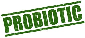 Feel Your Best with Probiotic Supplements