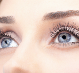 5 Nutrients That Support Eye Health