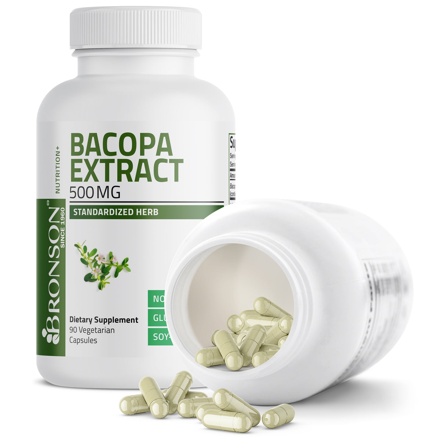 Bacopa Monniera Standardized Extract - 500 mg - 90 Vegetarian Capsules
