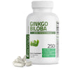 Ginkgo Biloba - 500 mg view 1 of 6