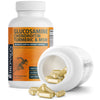 Glucosamine Chondroitin Turmeric & MSM view 18 of 6