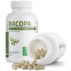 Bacopa thumbnail 5