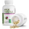Milk Thistle Seed Extract thumbnail 5
