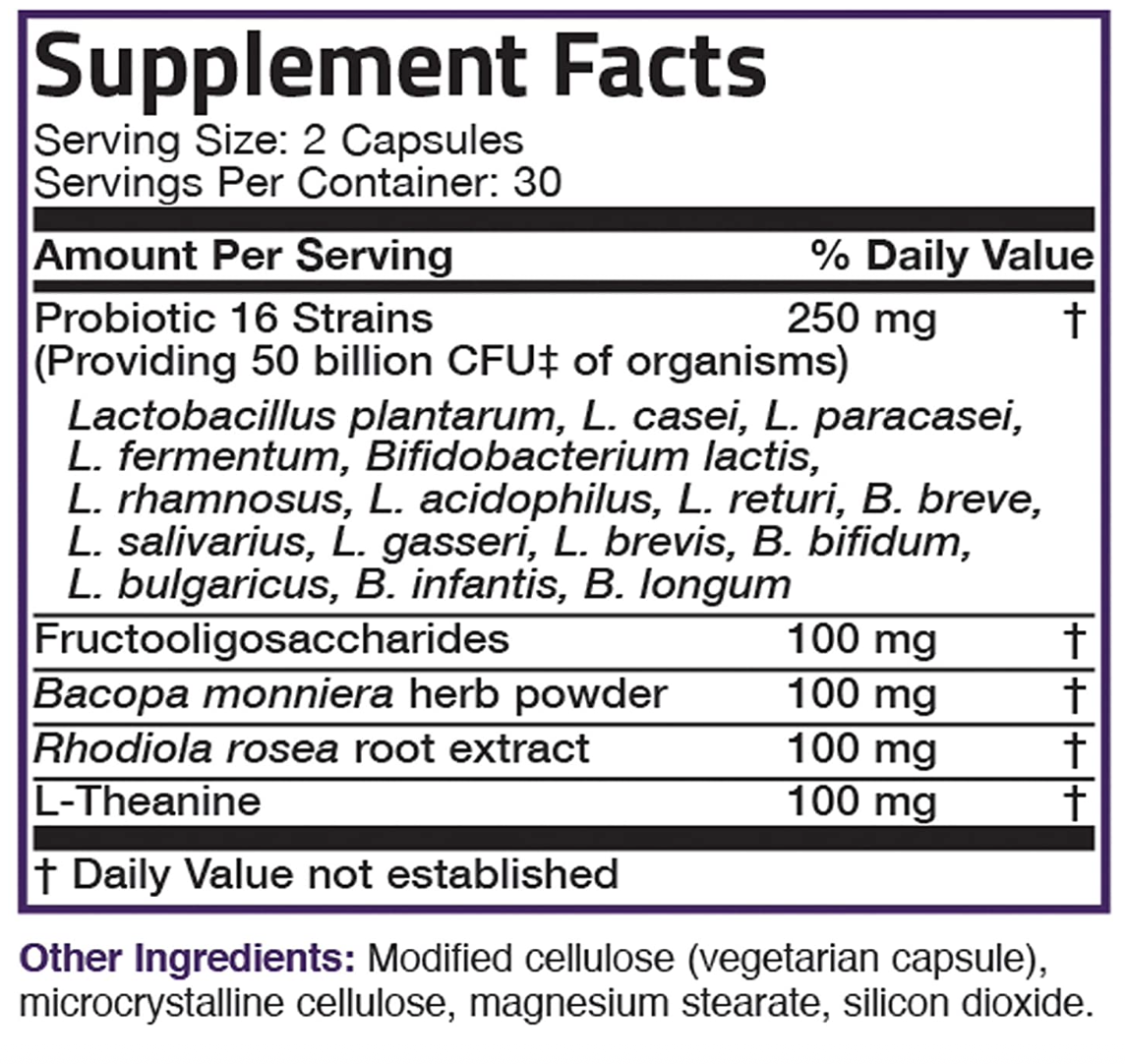 Probiotic Plus Prebiotic with L-Theanine, Bacopa & Rhodiola - 50 Billion CFU - 60 Vegetarian Capsules