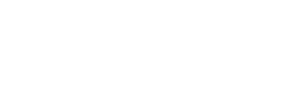 bronson logo